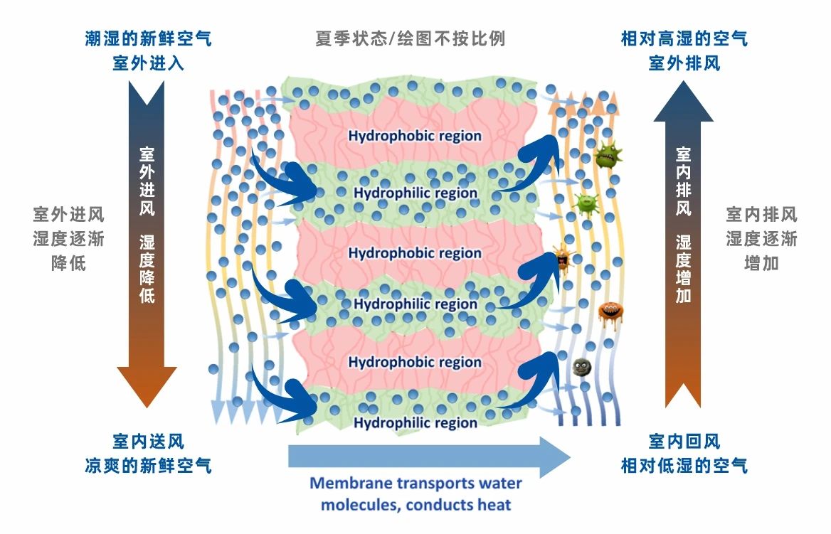喜报！曼瑞德“热湿膜”交换芯荣膺雄安未来之城国际大赛三等奖，以核心技术赋能建筑“双碳”目标(图5)